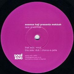 Seamus Haji Presents Mekkah - Race Of Survival - Soul Love