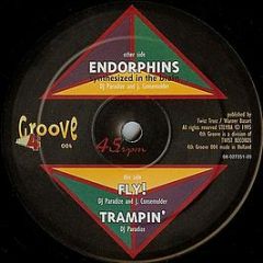 Vertical Vibes - Endorphins - 4th Groove