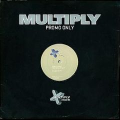 Phats & Small - This Time Around - Multiply Records