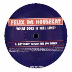 Felix Da Housecat - What Does It Feel Like? - City Rockers