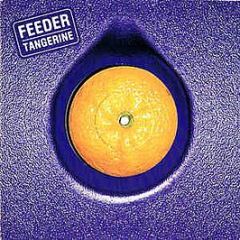 Feeder - Tangerine - Echo