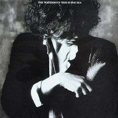 The Waterboys - This Is The Sea - Ensign