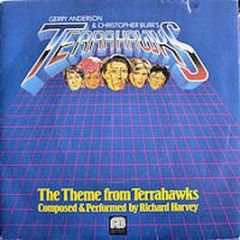 Richard Harvey - The Theme From Terrahawks - Anderburr Records