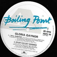 Gloria Gaynor - I Will Survive - Boiling Point