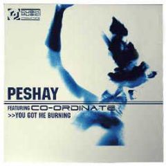 Peshay - You Got Me Burnin - Cubik