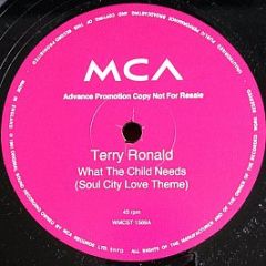 Terry Ronald - What The Child Needs (Soul City Love Theme) - MCA