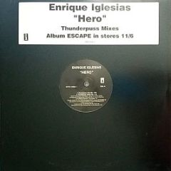 Enrique Iglesias - Hero (Thunderpuss Mixes) - Interscope Records