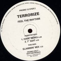 Terrorize - Feel The Rhythm - Hamster Records