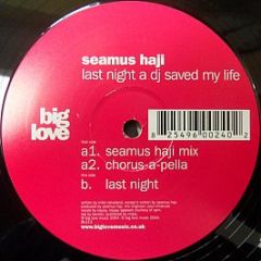 Seamus Haji - Last Night A DJ Saved My Life - Big Love