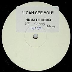DJ Sammy - I Can See You (Humate Remix) - Data Records