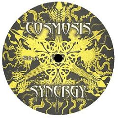 Cosmosis - Synergy - Transient Records