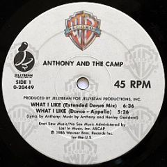 Anthony And The Camp - What I Like - Warner Bros. Records