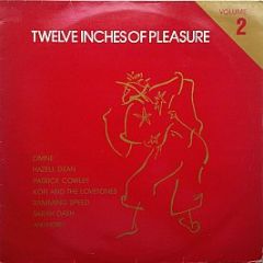 Various Artists - Twelve Inches Of Pleasure (Volume 2) - Proto
