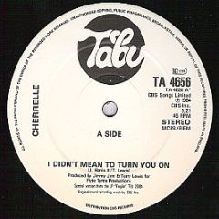 Cherrelle - I Didn't Mean To Turn You On - Tabu Records