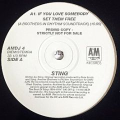 Sting - If You Love Somebody Set Them Free (A Brothers In Rhythm Soundtrack) - A&M Records