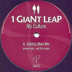 1 Giant Leap - My Culture - Palm Pictures