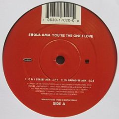 Shola Ama - You're The One I Love - WEA