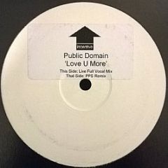 Public Domain - Love U More - Incentive