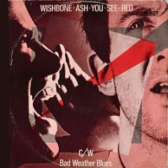 Wishbone Ash - You See Red - MCA