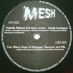 Volatile Headspace / Beamish and SBL - Volatile Nature (Remix) / Two Warm Days In February - Mesh Records