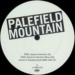 Palefield Mountain - Dream To Become - Stress Records