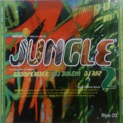 Grooverider / LTJ Bukem / DJ Rap - Fantazia Takes You Into The Jungle - Fantazia