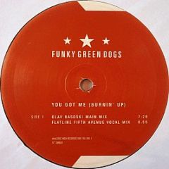 Funky Green Dogs - You Got Me (Burnin' Up) - MCA