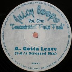 Concentrated Fruit Funk - Vol. One - Juicy Loops