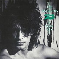 The Waterboys - A Pagan Place - Ensign