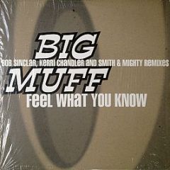 Big Muff - Feel What You Know - Maxi Records