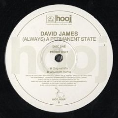 David James - (Always) A Permanent State (Disc One) - Hooj Choons