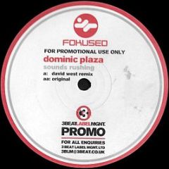 Dominic Plaza - Sounds Rushing - Fokused Recordings