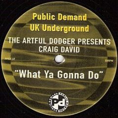 The Artful Dodger Presents Craig David - What Ya Gonna Do - Public Demand
