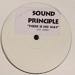 Sound Principle - There Is No Way (UK Garage Mixes) - White