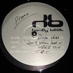 Dina Vass - Don't Wanna Lose You - Honey Beat Recordings