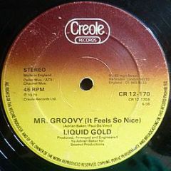 Liquid Gold - Mr. Groovy (It Feels So Nice) - Creole Records