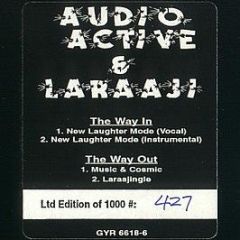 Audio Active & Laraaji - The Way In / The Way Out - Gyroscope