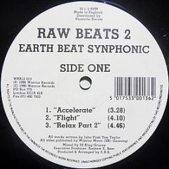 Earth Beat Synphonic / The Movement - Raw Beats 2 - Warrior Records