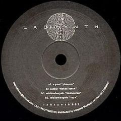 a. Paul / Michaelangelo - Phoenix - Labrynth