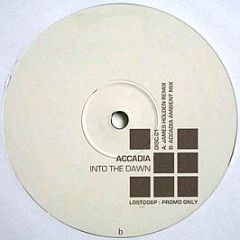 Accadia - Into The Dawn - 	Lost Language