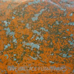 Dave Wallace - Flight - Moving Sahdow