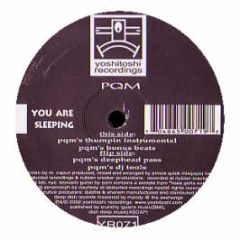 PQM - You Are Sleeping - Yoshitoshi