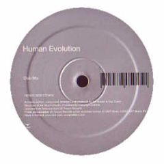 Human Evolution - Human Evolution - Id&T