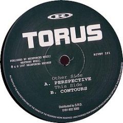 Torus - Perspective - Reinforced