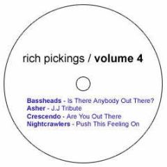 Bassheads - Is There Anybody Out There - Rich Pickings Vol 4