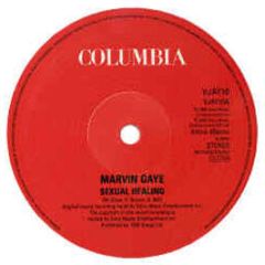 Marvin Gaye - Sexual Healing - Columbia