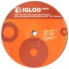 Derrick Carter - Igloo Volume 5 - Igloo