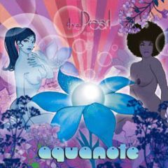 Aquanote - The Pearl - Naked Music 