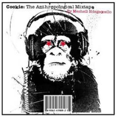 Meshell N Degeocello - The Anthropological Mixtape - Maverick