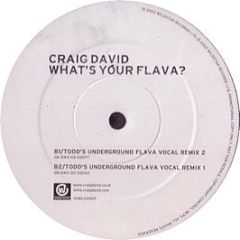 Craig David - What's Your Flava? (Remixes) - Wildstar